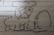 Pony Show Concept