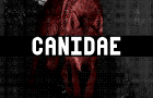 CANIDAE