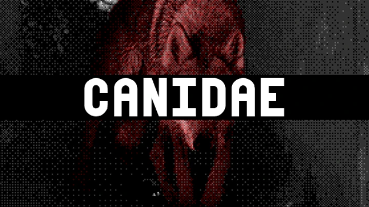 CANIDAE