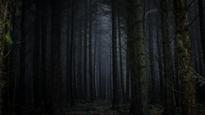 Scary forest (REALLY SCARYY!!!)