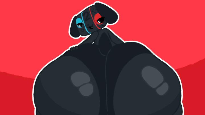 switch dogu 2