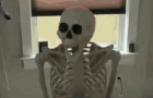 papyrus falls down the freaking stairs