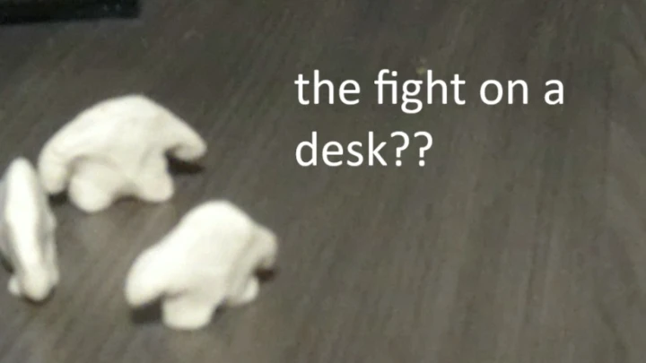 the fight