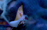 Sonic in Scared Stupid: The Final Chapter Preview