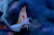 Sonic in Scared Stupid: The Final Chapter Preview