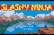 Slashy ninja