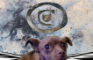 Loose Cannon Lucy