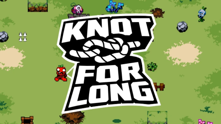 KNOT FOR LONG