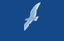 Seagull animation WIP