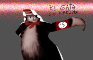 El gato sin cerebro
