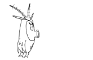Plankton but an owl