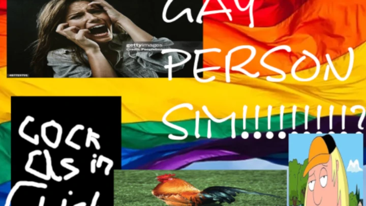 [kk]gay perosn sim?????