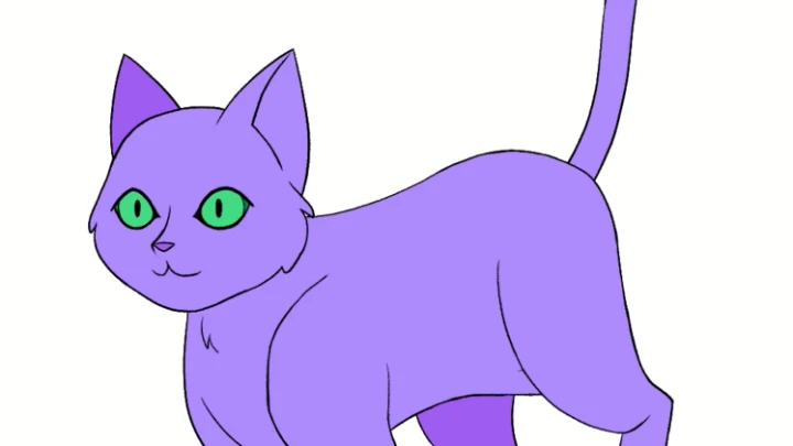 Cat walk cycle practice