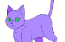 Cat walk cycle practice