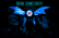 Dark Sanctuary | DELTARUNE Animation