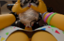 FNAF blow job POV