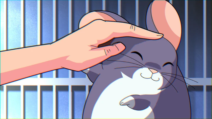 Two Chinchillas Two Personalities