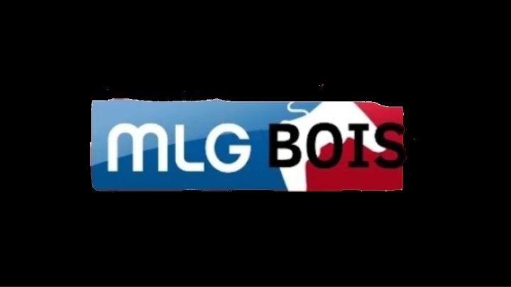 MLG bois