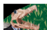BUSINESS LIZARD
