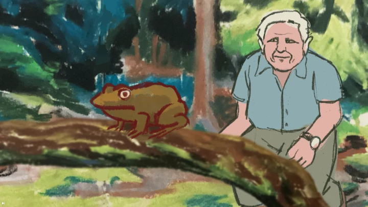 David Attenborough tries to catch a frog