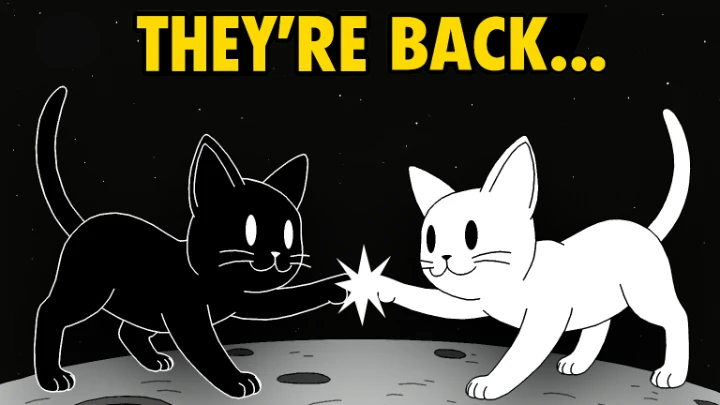 Cats on the Moon fight animation